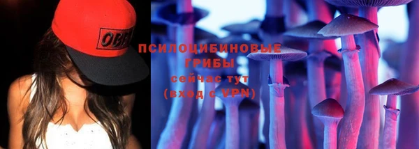 jwh Бородино