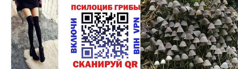 Галлюциногенные грибы GOLDEN TEACHER где можно купить Воскресенск