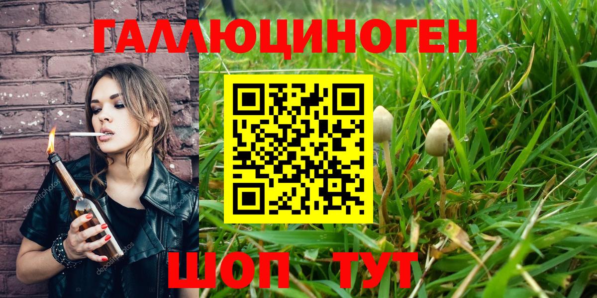 купить наркотик  Вход с VPN  Воскресенск  Псилоцибиновые грибы мицелий  Галлюциногенные грибы Cubensis 